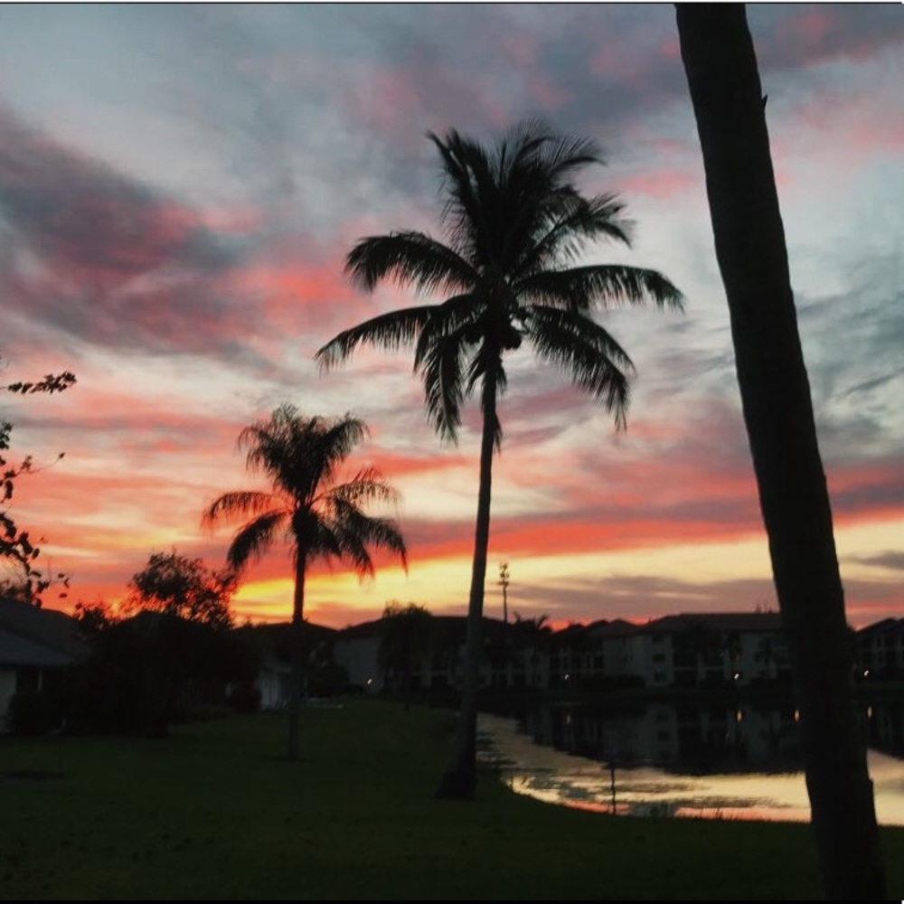 Meet your Posher, Bella